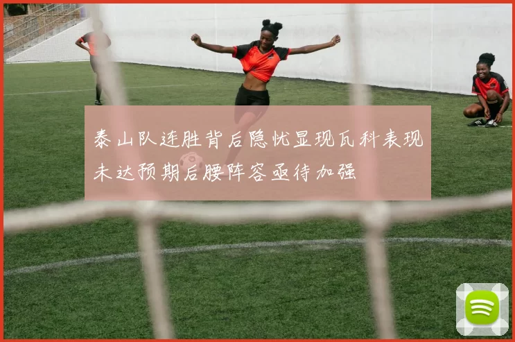 泰山队连胜背后隐忧显现瓦科表现未达预期后腰阵容亟待加强
